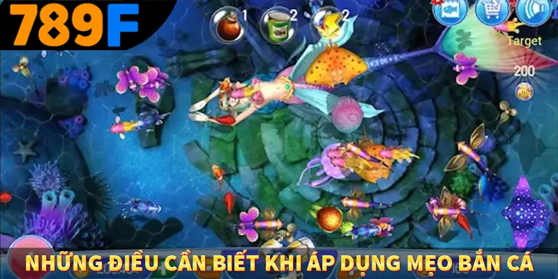 Những điều cần biết khi áp dụng mẹo bắn cá