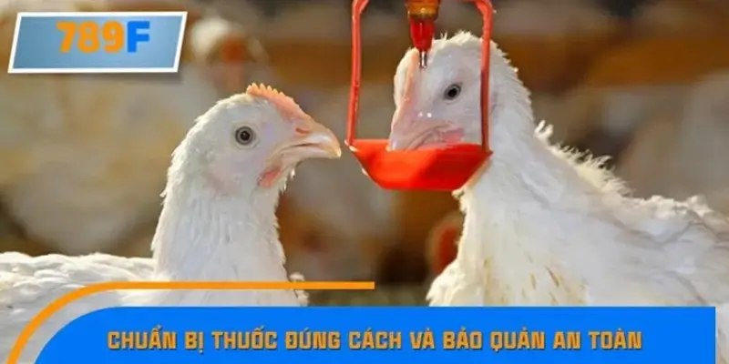 Chuẩn bị thuốc đúng cách và bảo quản an toàn