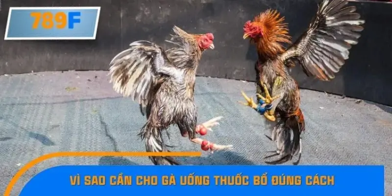 Tư thế chân vững giúp giữ thăng bằng và tạo lực đá