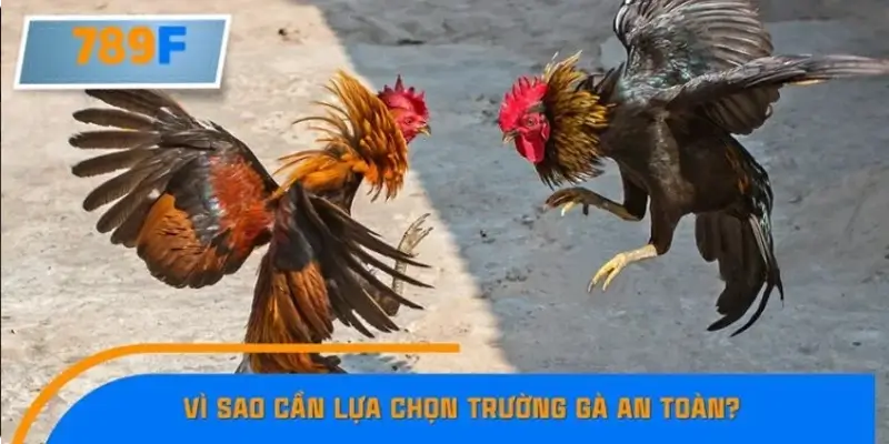 Vì sao cần lựa chọn trường gà an toàn?